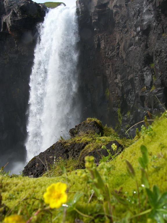 Reydarfjordur Apartment ภายนอก รูปภาพ