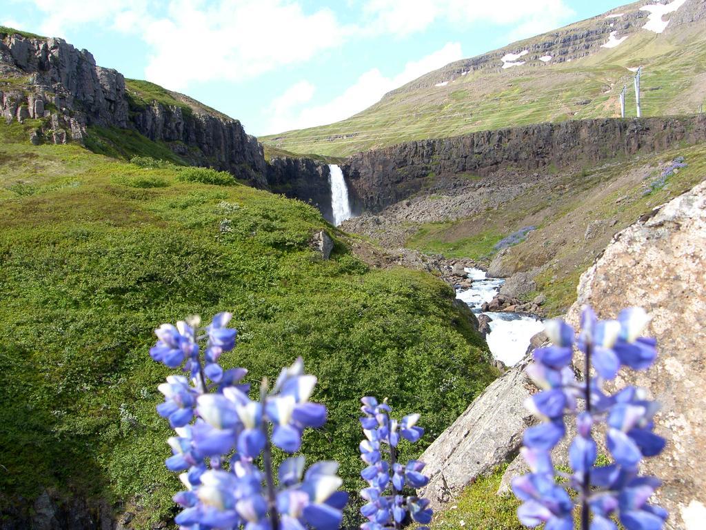 Reydarfjordur Apartment ภายนอก รูปภาพ