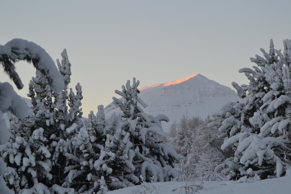 Reydarfjordur Apartment ภายนอก รูปภาพ